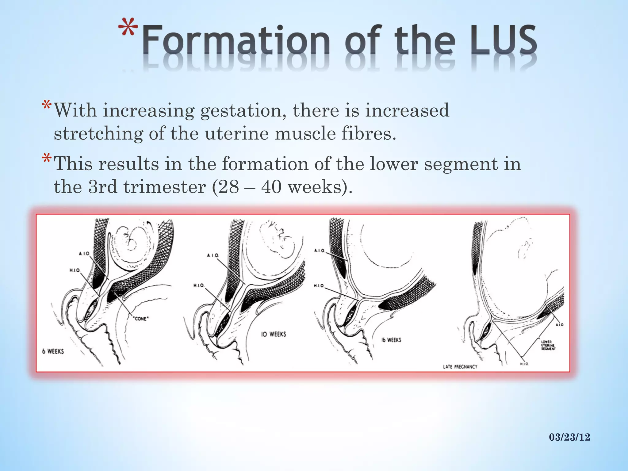 Lower Uterine Segment PPT Lower Uterine Segment PPT