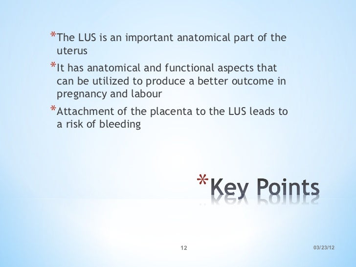 Lower uterine segment