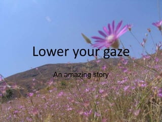 Lower your gaze An amazing story 