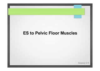 ES to Pelvic Floor Muscles

Sreeraj S R

 