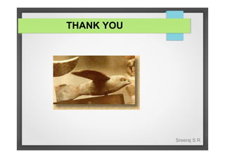 THANK YOU

Sreeraj S R

 