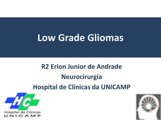 R2 Erion Junior de Andrade
Neurocirurgia
Hospital de Clínicas da UNICAMP
Low Grade Gliomas
 