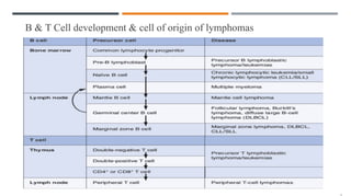 B & T Cell development & cell of origin of lymphomas
 