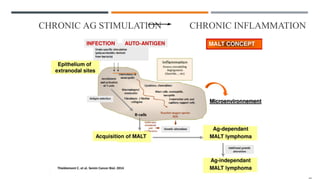 CHRONIC AG STIMULATION CHRONIC INFLAMMATION
 