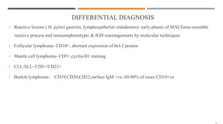 DIFFERENTIAL DIAGNOSIS
• Reactive lesions ( H. pylori gastritis, lymphoepithelial sialadenitis)- early phases of MALToma resemble
reactive process and immunophenotypic & IGH rearrangements by molecular techniques
• Follicular lymphoma- CD10+, aberrant expression of bcl-2 protein
• Mantle cell lymphoma- CD5+,cyclin-D1 staining
• CLL/SLL- CD5+/CD23+
• Burkitt lymphoma- CD19,CD20,CD22,surface IgM +ve, 60-80% of cases CD10+ve
 