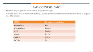 PATHOGENESIS- SMZL
• Arise from the post germinal center, memory B cell of splenic type
• Molecular studies showed alterations to pathways , result in proliferation and commitment of mature B cells to marginal
zone differentiation
GENES Percentage in population
Notch pathway 40%
NF-KB pathway 35-40%
KLF2 20-40%
MYD88 3-15%
CARD11 5-10%
KMT2D 7%
 