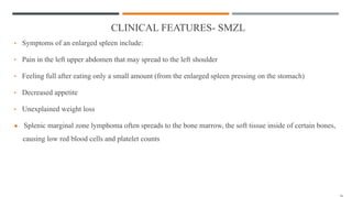 CLINICAL FEATURES- SMZL
• Symptoms of an enlarged spleen include:
• Pain in the left upper abdomen that may spread to the left shoulder
• Feeling full after eating only a small amount (from the enlarged spleen pressing on the stomach)
• Decreased appetite
• Unexplained weight loss
● Splenic marginal zone lymphoma often spreads to the bone marrow, the soft tissue inside of certain bones,
causing low red blood cells and platelet counts
 