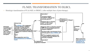 FL/MZL TRANSFORMATION TO DLBCL
• Histologic transformation of FL & MZL to DKBCL ( after multiple lines of prior therapy)
 