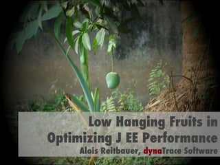 Low Hanging Fruits in Optimizing J EE Performance Alois Reitbauer,  dyna Trace Software 