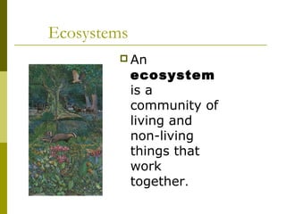 Ecosystems
         An
             ecosystem
             is a
             community of
             living and
             non-living
             things that
             work
             together.
 