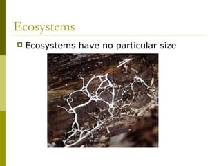 Ecosystems
   Ecosystems have no particular size
 