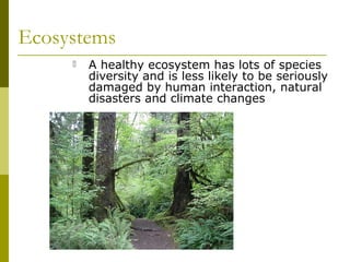Ecosystems
        A healthy ecosystem has lots of species
         diversity and is less likely to be seriously
         damaged by human interaction, natural
         disasters and climate changes
 