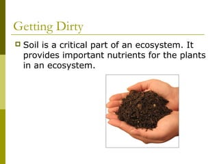 Getting Dirty
   Soil is a critical part of an ecosystem. It
    provides important nutrients for the plants
    in an ecosystem.
 
