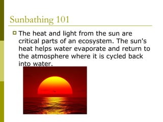 Sunbathing 101
   The heat and light from the sun are
    critical parts of an ecosystem. The sun's
    heat helps water evaporate and return to
    the atmosphere where it is cycled back
    into water.
 