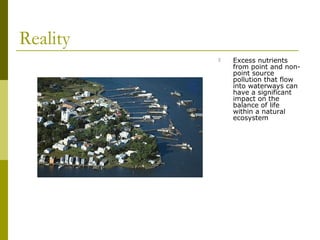 Reality
             Excess nutrients
              from point and non-
              point source
              pollution that flow
              into waterways can
              have a significant
              impact on the
              balance of life
              within a natural
              ecosystem
 