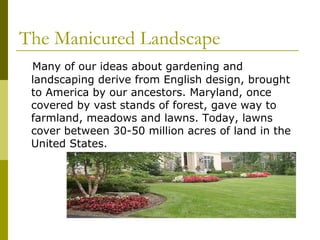 The Manicured Landscape
 Many of our ideas about gardening and
 landscaping derive from English design, brought
 to America by our ancestors. Maryland, once
 covered by vast stands of forest, gave way to
 farmland, meadows and lawns. Today, lawns
 cover between 30-50 million acres of land in the
 United States.
 