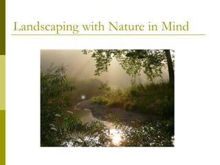 Landscaping with Nature in Mind
 