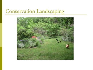 Conservation Landscaping
 