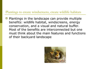 Plantings to create windscreens, create wildlife habitats
   Plantings in the landscape can provide multiple
    benefits: wildlife habitat, windscreens, energy
    conservation, and a visual and natural buffer.
    Most of the benefits are interconnected but one
    must think about the main features and functions
    of their backyard landscape
 