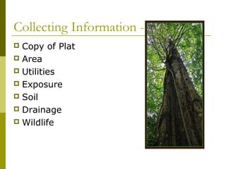 Collecting Information -
 Copy of Plat
 Area
 Utilities
 Exposure
 Soil
 Drainage
 Wildlife
 