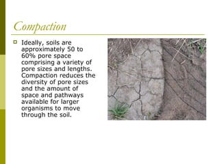 Compaction
   Ideally, soils are
    approximately 50 to
    60% pore space
    comprising a variety of
    pore sizes and lengths.
    Compaction reduces the
    diversity of pore sizes
    and the amount of
    space and pathways
    available for larger
    organisms to move
    through the soil.
 