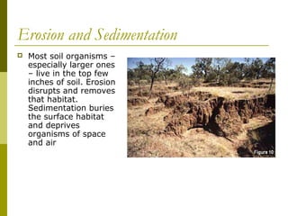 Erosion and Sedimentation
   Most soil organisms –
    especially larger ones
    – live in the top few
    inches of soil. Erosion
    disrupts and removes
    that habitat.
    Sedimentation buries
    the surface habitat
    and deprives
    organisms of space
    and air
 
