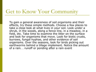 Get to Know Your Community
 To gain a general awareness of soil organisms and their
 effects, try these simple methods. Choose a few places to
 take a close look at what lives in your soil. Look under a
 shrub, in the woods, along a fence line, in a meadow, in a
 field, etc. Take time to examine the litter on the surface
 and look for organisms that move. Look for biotic crusts,
 burrows, fungal hyphae, and other evidence of soil
 organisms. Over the seasons, look for birds picking out
 earthworms behind a tillage implement. Notice the amount
 of a rain. . runoff or ponding after a rain event
 