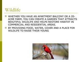 Wildlife
   WHETHER YOU HAVE AN APARTMENT BALCONY OR A 20-
    ACRE FARM, YOU CAN CREATE A GARDEN THAT ATTRACTS
    BEAUTIFUL WILDLIFE AND HELPS RESTORE HABITAT IN
    COMMERCIAL AND RESIDENTIAL AREAS.
   BY PROVIDING FOOD, WATER, COVER AND A PLACE FOR
    WILDLIFE TO RAISE THEIR YOUNG
 