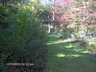 April 6th Presentation: Greenbelt Forest Stewards