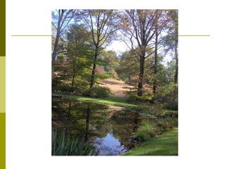 April 6th Presentation: Greenbelt Forest Stewards