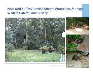 19
Rear Yard Buffers Provide Stream Protection, Storage,
Wildlife Habitat, and Privacy
 