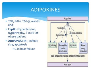  TNF, PAI-1, TGF-β, resistin
and-
 Leptin : hypertension,
hypertrophy, ↑ in HF of
obese patient
 ADIPONECTIN ↓ infarct
size, apoptosis
it ↓ in hear failure
ADIPOKINES
 
