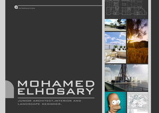 Mohamed El-Hosary Portfolio