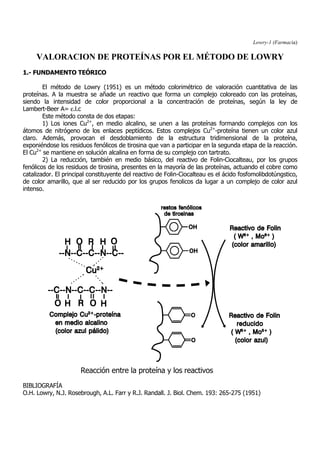 Lowry-1 (Farmacia)
VALORACION DE PROTEÍNAS POR EL MÉTODO DE LOWRY
1.- FUNDAMENTO TEÓRICO
El método de Lowry (1951) es un método colorimétrico de valoración cuantitativa de las
proteínas. A la muestra se añade un reactivo que forma un complejo coloreado con las proteínas,
siendo la intensidad de color proporcional a la concentración de proteínas, según la ley de
Lambert-Beer A= ε.l.c
Este método consta de dos etapas:
1) Los iones Cu2+
, en medio alcalino, se unen a las proteínas formando complejos con los
átomos de nitrógeno de los enlaces peptídicos. Estos complejos Cu2+
-proteína tienen un color azul
claro. Además, provocan el desdoblamiento de la estructura tridimensional de la proteína,
exponiéndose los residuos fenólicos de tirosina que van a participar en la segunda etapa de la reacción.
El Cu2+
se mantiene en solución alcalina en forma de su complejo con tartrato.
2) La reducción, también en medio básico, del reactivo de Folin-Ciocalteau, por los grupos
fenólicos de los residuos de tirosina, presentes en la mayoría de las proteínas, actuando el cobre como
catalizador. El principal constituyente del reactivo de Folin-Ciocalteau es el ácido fosfomolibdotúngstico,
de color amarillo, que al ser reducido por los grupos fenolicos da lugar a un complejo de color azul
intenso.
Reacción entre la proteína y los reactivos
BIBLIOGRAFÍA
O.H. Lowry, N.J. Rosebrough, A.L. Farr y R.J. Randall. J. Biol. Chem. 193: 265-275 (1951)
 
