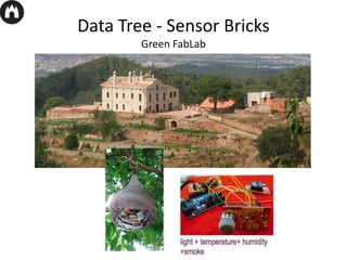 Data Tree - Sensor Bricks
Green FabLab
 