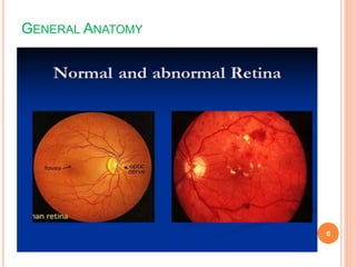 GENERAL ANATOMY
6
 