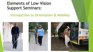 Introduction to Orientation & Mobility
Elements of Low Vision
Support Seminars:
 