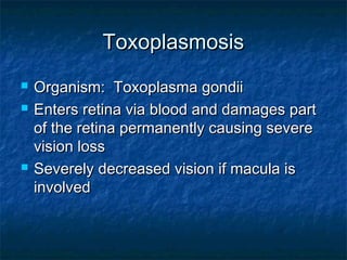 ToxoplasmosisToxoplasmosis
 Organism: Toxoplasma gondiiOrganism: Toxoplasma gondii
 Enters retina via blood and damages partEnters retina via blood and damages part
of the retina permanently causing severeof the retina permanently causing severe
vision lossvision loss
 Severely decreased vision if macula isSeverely decreased vision if macula is
involvedinvolved
 