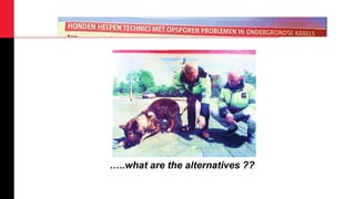 …..what are the alternatives ??
 