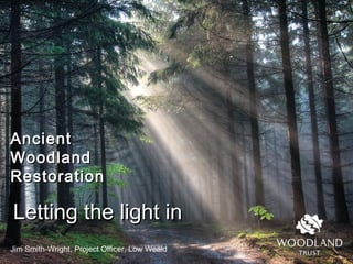 AncientAncient
WoodlandWoodland
RestorationRestoration
Jim Smith-Wright, Project Officer, Low Weald
Letting the light inLetting the light in
 
