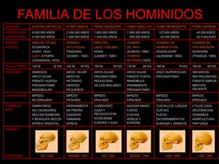 FAMILIA DE LOS HOMINIDOS
GENERO AUSTRALOPITECUS HOMO HABILIS HOMO ERGASTER HOMO ERECTUS HOMO NEANDERTAL HOMO SAPIENS
CRONOLOGIA
(INICIO-FINAL)
4.000.000 AÑOS
2.000.000 AÑOS
2.000.000 AÑOS
1.500.000 AÑOS
1.800.000 AÑOS
1.400.000 AÑOS
1.600.000 AÑOS
300.000 AÑOS
127.000 AÑOS
40.000 AÑOS
40.000 AÑOS
ACTUALIDAD
RESTOS
FOSILES
NIÑO DE TAUNG
SUDAFRICA
(DART, 1924)
LUCY, ETIOPIA
(JOHANSON, 1976)
CRANEO
DE OLDUVAI
TANZANIA
(LEAKEY, 1960)
NIÑO DEL
LAGO TURKANA
KENIA
(LEAKEY, 1984)
HOMBRE
DE JAVA
(DUBOIS, 1986)
HOMBRE
DE PEKIN (1929)
HOMBRE DE
NEANDERTHAL
DÜSSELDORF
(ALEMANIA, 1856)
HOMBRE DE
CRO-MAGNON
DORDOÑA
(FRANCIA, 1868)
TALLA Y PESO 120 M 32 KG 140 M 40 KG 160 M 55 KG 170 M 56 KG 160 M 76 KG 165 M 65 KG
ANATOMIA SIMIESCO
ARCO CILIAR
FRENTE HUIDIZA
PROGNATISMO
MANDIBULAR
ARCO CILIAR
MENTON
RETRAIDO
DIENTES
PEQUEÑOS
ARCO CILIAR
PROGNATISMO
REDUCCION
DE LOS MOLARES
ARCO CILIAR
FRENTE CORTA
MANDIBULA
PROMINENTE
PROGNATISMO
ARCO SUPERCILIAR
PROGNATISMO
SIN ARCOS
SIN PROGNOSIS
FRENTE AMPLIA
MENTON
SALIENTE
LOCOMOCION BIPEDO
NO ERGUIDO
BIPEDO
ERGUIDO
BIPEDO
ERGUIDO
BIPEDO
ERGUIDO
BIPEDO
ERGUIDO
BIPEDO
ERGUIDO
FORMA DE
VIDA
OMNIVOROS
NO CAZADORES
SELVAS HUMEDAS
Y BOSQUES SECOS
AFRICA ORIENTAL
HERRAMIENTA
EN PIEDRA
CAZADOR
SABANAS
AFRICA
CARNIVORO
CAZA Y
RECOLECCION
ACHELENSE
EUROPA Y ASIA
HACHAS MANO
FUEGO
CUEVAS
AFRICA Y
EURASIA
CUCHILLOS, LANZAS
CUEVAS
FUEGO
ENTERRAMIENTOS
EURASIA Y ORIENTE
UTILES CAZA
DECORACION
CERAMICA
AGRICULTURA
PINTURAS
CRANEO
CAPACIDAD 450 CM3 650/800 CM3 900 CM3 800/950 CM3 1.500 CM3 1.400 CM3
 