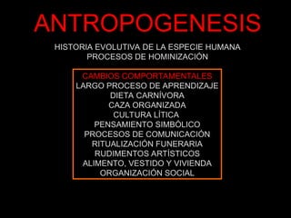 ANTROPOGENESIS
HISTORIA EVOLUTIVA DE LA ESPECIE HUMANA
PROCESOS DE HOMINIZACIÓN
CAMBIOS COMPORTAMENTALES
LARGO PROCESO DE APRENDIZAJE
DIETA CARNÍVORA
CAZA ORGANIZADA
CULTURA LÍTICA
PENSAMIENTO SIMBÓLICO
PROCESOS DE COMUNICACIÓN
RITUALIZACIÓN FUNERARIA
RUDIMENTOS ARTÍSTICOS
ALIMENTO, VESTIDO Y VIVIENDA
ORGANIZACIÓN SOCIAL
 