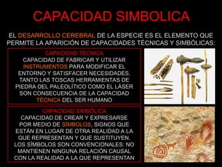 CAPACIDAD SIMBOLICA
EL DESARROLLO CEREBRAL DE LA ESPECIE ES EL ELEMENTO QUE
PERMITE LA APARICIÓN DE CAPACIDADES TÉCNICAS Y SIMBÓLICAS:
CAPACIDAD TÉCNICA
CAPACIDAD DE FABRICAR Y UTILIZAR
INSTRUMENTOS PARA MODIFICAR EL
ENTORNO Y SATISFACER NECESIDADES.
TANTO LAS TOSCAS HERRAMIENTAS DE
PIEDRA DEL PALEOLÍTICO COMO EL LÁSER
SON CONSECUENCIA DE LA CAPACIDAD
TÉCNICA DEL SER HUMANO
CAPACIDAD SIMBÓLICA
CAPACIDAD DE CREAR Y EXPRESARSE
POR MEDIO DE SÍMBOLOS, SIGNOS QUE
ESTÁN EN LUGAR DE OTRA REALIDAD A LA
QUE REPRESENTAN Y QUE SUSTITUYEN.
LOS SÍMBOLOS SON CONVENCIONALES: NO
MANTIENEN NINGUNA RELACIÓN CAUSAL
CON LA REALIDAD A LA QUE REPRESENTAN
 