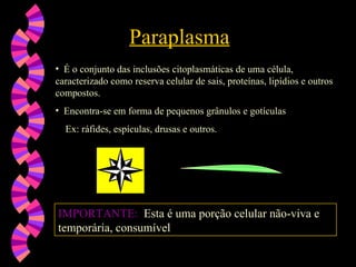 Paraplasma
Paraplasma
• É o conjunto das inclusões citoplasmáticas de uma célula,
caracterizado como reserva celular de sais, proteínas, lipídios e outros
compostos.
• Encontra-se em forma de pequenos grânulos e gotículas
Ex: ráfides, espículas, drusas e outros.
IMPORTANTE:
IMPORTANTE: Esta é uma porção celular não-viva e
temporária, consumível
consumível
 