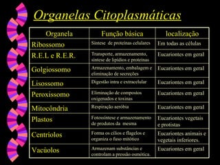 Organelas Citoplasmáticas
Organelas Citoplasmáticas
Eucariontes em geral
Armazenam substâncias e
controlam a pressão osmótica.
Vacúolos
Eucariontes animais e
vegetais inferiores.
Forma os cílios e flagelos e
organiza o fuso mitótico
Centríolos
Eucariontes vegetais
e protistas
Fotossíntese e armazenamento
de produtos da mesma
Plastos
Eucariontes em geral
Respiração aeróbia
Mitocôndria
Eucariontes em geral
Eliminação de compostos
oxigenados e toxinas
Peroxissomo
Eucariontes em geral
Digestão intra e extracelular
Lisossomo
Eucariontes em geral
Armazenamento, embalagem e
eliminação de secreções
Golgiossomo
Eucariontes em geral
Transporte, armazenamento,
síntese de lipídios e proteínas
R.E.L e R.E.R.
Em todas as células
Síntese de proteínas celulares
Ribossomo
localização
Função básica
Organela
 