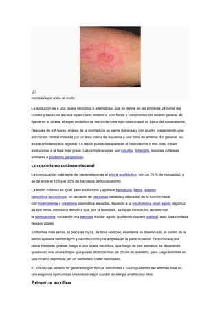 mordedura por araña de rincón
La evolución es a una úlcera necrótica o edematosa, que se define en las primeras 24 horas del
cuadro y tiene una escasa repercusión sistémica, con fiebre y compromiso del estado general. Al
fijarse en la úlcera, el signo evolutivo de lesión de color rojo–blanco-azul es típica del loxoscelismo.
Después de 4-8 horas, el área de la mordedura se siente dolorosa y con prurito, presentando una
induración central rodeada por un área pálida de isquemia y una zona de eritema. En general, no
existe linfadenopatía regional. La lesión puede desaparecer al cabo de dos o tres días, o bien
evolucionar a la fase más grave. Las complicaciones son:celulitis, linfangitis, lesiones cutáneas
similares a pioderma gangrenoso.
Loxoscelismo cutáneo-visceral
La complicación más seria del loxoscelismo es el shock anafiláctico, con un 25 % de mortalidad, y
se da entre el 15%y el 30% de los casos de loxoscelismo.
La lesión cutánea es igual, pero evoluciona y aparece hematuria, fiebre, anemia
hemolítica,leucocitosis, un recuento de plaquetas variable y alteración de la función renal,
con hipercalemia y creatinina plasmática elevadas, llevando a la insuficiencia renal aguda oligúrica,
de tipo renal- intrínseca debido a que, por la hemólisis, se tapan los túbulos renales con
la hemoglobina, causando una necrosis tubular aguda (pudiendo requerir diálisis), esta fase conlleva
riesgos vitales.
En formas más serias, la placa es rojiza, de tono violáceo, el eritema es diseminado, el centro de la
lesión aparece hemorrágico y necrótico con una ampolla en la parte superior. Evoluciona a una
placa livedoide, grande, luego a una úlcera necrótica, que luego de tres semanas se desprende
quedando una úlcera limpia que puede alcanzar más de 25 cm de diámetro, para luego terminar en
una cicatriz deprimida, en un verdadero cráter necrosado.
El inóculo del veneno no genera ningún tipo de inmunidad a futuro pudiendo ser además fatal en
una segunda oportunidad creándose algún cuadro de alergia anafiláctica fatal.
Primeros auxilios
 