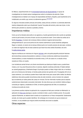En México, específicamente en la Universidad Autónoma de Aguascalientes un grupo de
investigadores ha iniciado serias investigaciones sobre la mordedura de arácnido. Estas
investigaciones se realizan con el apoyo de especialistas de Brasil y España, pues localmente se ha
multiplicado una araña cuyo veneno es altamente agresivo.[cita requerida]
En algunos mercados existen pinturas anti-arañas, estas pinturas contienen un piretroide altamente
reactivo (desprende calor) que virtualmente "quema" las patas del animal y esta cae al piso, no las
elimina pero previene su ascenso a paredes y techos.
Importancia médica
Como ya se ha indicado esta araña no es agresiva y muerde generalmente sólo cuando es apretada
contra la piel humana, tal como al hacer uso de una prenda de vestir. Como todas las arañas de la
familia Sicariidae, el veneno de la reclusa chilena contiene el agente dermonecrótico
esfingomielinasa D, que se encuentra de otra manera solamente en pocas bacterias patógenas.
Según un estudio, el veneno de la reclusa chilena (junto con la araña arenera de seis ojos), contiene
un orden de magnitud más de esta sustancia que hacen las otras arañas Sicariidae, tal como
la araña reclusa parda.
Algunos mordiscos son menores sin ninguna necrosis, pero una parte pequeña producen lesiones
dermonecróticas severas (loxoscelismo cutáneo) o incluso condiciones sistémicas (loxoscelismo
víscerocutáneo;) a veces resultando en anomalía renal y 3-4% de casos en un estudio clínico
reciente en Chile, en muerte.
Las mordeduras serias forman una úlcera necrotizante que destruye el tejido suave y puede llevar
meses y con muy poca frecuencia años en sanarse, dejando cicatrices profundas. El tejido dañado
se volverá gangrenoso y finalmente fangal. Al principio puede no haber ningún dolor de un mordisco,
pero con el transcurso del tiempo, la herida puede ponerse tan grande como 10 pulgadas (25 cm) en
casos extremos. Los mordiscos pueden llevar hasta siete horas para causar daño visible; los efectos
sistémicos más serios pueden encontrarse antes de este momento, como el veneno de cualquier
tipo se extiende por todas partes del cuerpo en minutos. Se han informado muertes para la especie
sudamericana relacionada Loxosceles intermedia. Se cree ahora que una condición médica antigua
conocida por viajeros y residentes en Chile, la mancha gangrenosa de Chile, es causada por
mordiscos de araña de rincón.
Los primeros auxilios implican la aplicación de un paquete de hielo para controlar la inflamación, la
aplicación de Aloe vera apacigua y ayuda a controlar el dolor, acudir al médico pronto. Si se puede
capturar fácilmente, se debería traer la araña con el paciente en un frasco transparente, fuertemente
cerrado, de modo que lo puedan identificar. Sin embargo en el momento en que se observa el
mordisco, no es probable que ninguna araña encontrada cerca sea la culpable.
Otras especies
 