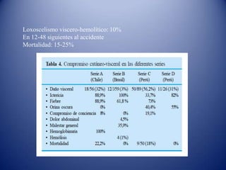 Loxoscelismo viscero-hemolítico: 10%
En 12-48 siguientes al accidente
Mortalidad: 15-25%

 