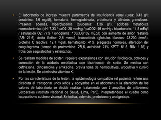 • El laboratorio de ingreso muestra parámetros de insuficiencia renal (urea: 0,43 g/l;
creatinina: 1,6 mg/dl), hematuria, hemoglobinuria, proteinuria y cilindros granulosos.
Presenta además, hiperglucemia (glucemia: 1,36 g/l), acidosis metabólica
normoclorémica (pH: 7,33 / paO2: 28 mmHg / paCO2: 46 mmHg / bicarbonato: 14,5 mEq/l
/ saturación O2: 77% / ionograma: 136/3,6/102 mEq/l) con aumento de anión restante
(AR: 21,5), ácido láctico: 2,6 mmol/l, leucocitosis (glóbulos blancos: 23.200 /mm3),
proteína C reactiva: 12,1 mg/dl, hematócrito: 41%, plaquetas normales, alteración del
coagulograma (tiempo de protrombina: 25,6, actividad: 21% KPTT: 61,5, RIN: 1,76) y
frotis con esquistocitos y esferocitos.
• Se realizan medidas de sostén; requiere expansiones con solución fisiológica, coloides y
corrección de la acidosis metabólica con bicarbonato de sodio. Se medica con
ceftriaxona, clindamicina y amikacina, previa toma de hemocultivos, urocultivo y cultivo
de la lesión. Se administra vitamina K.
• Por las características de la lesión, la epidemiología compatible (el paciente refiere una
picadura al transportar unos leños y apoyarlos en el abdomen) y la alteración de los
valores de laboratorio se decide realizar tratamiento con 2 ampollas de antiveneno
Loxosceles (Instituto Nacional de Salud, Lima, Perú), interpretándose el cuadro como
loxoscelismo cutáneo-visceral. Se indica, además, prednisona y analgésicos.
 