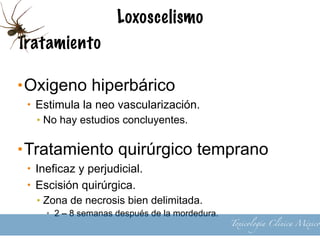 Loxoscelismo
Tratamiento
Esteroides
• Indicados en loxoscelismo sistémico
• Estabiliza pared celular de los eritrocitos
• Reduce hemólisis y liberación radicales libres
17
Toxicología Clínica México
 